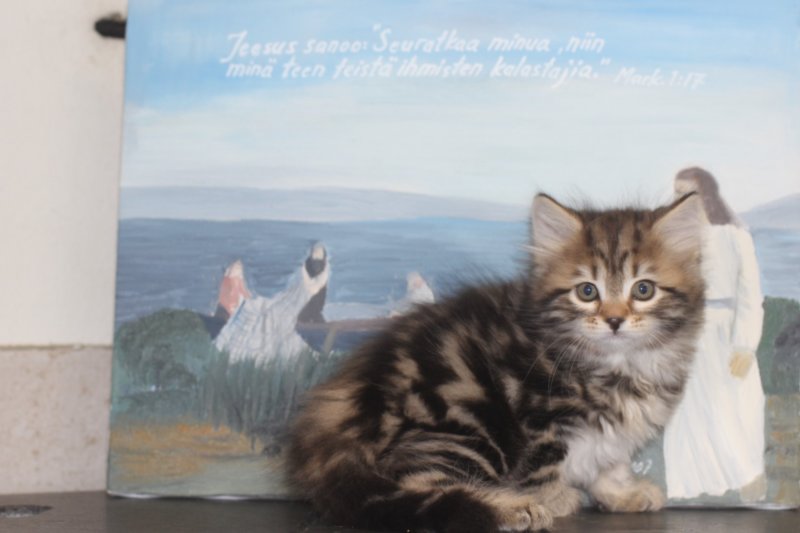 irina75viikkoa20111.jpg