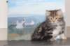 irina75viikkoa20114_small.jpg