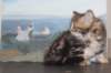 irina75viikkoa20115_small.jpg