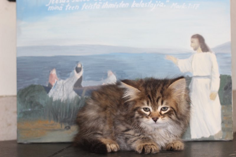 isaac75viikkoa2019.jpg