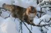 img_9826_small.jpg