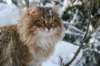 img_9847_small.jpg
