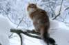 img_9869_small.jpg