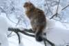 img_9870_small.jpg