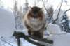 img_9889_small.jpg