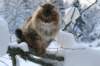img_9894_small.jpg