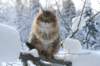 img_9898_small.jpg