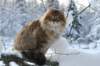 img_9949_small.jpg