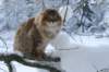 img_9964_small.jpg