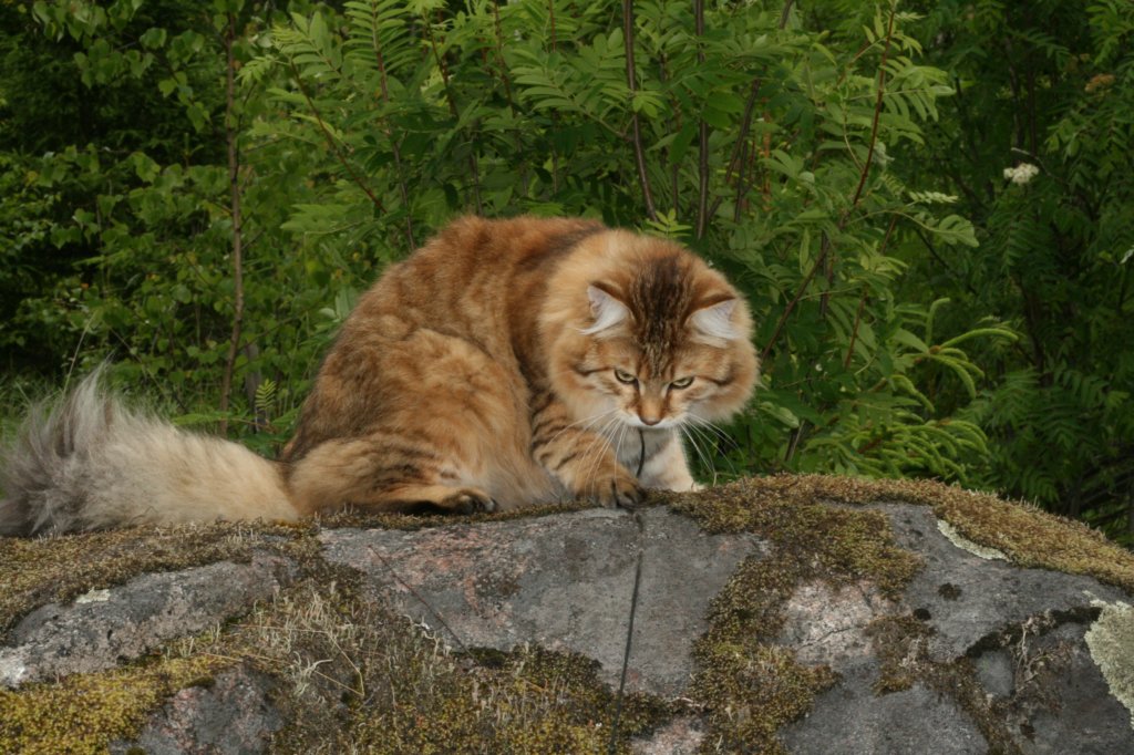 img_1463.jpg