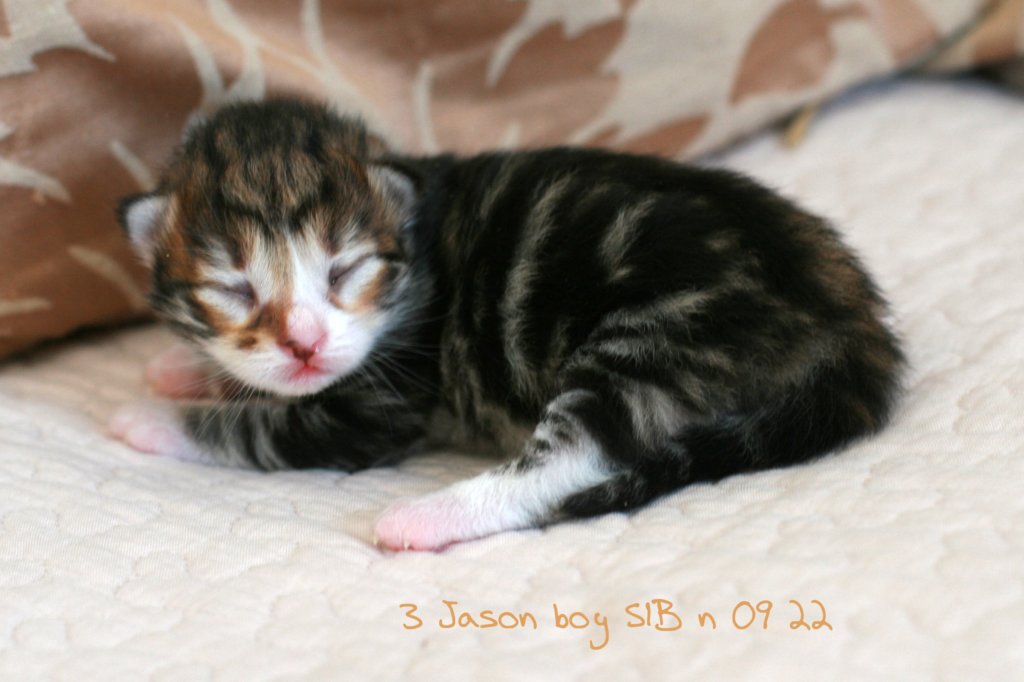 jasonimg_7785.jpg