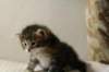 img_8196_small.jpg