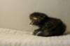 img_8207_small.jpg