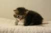 img_8213_small.jpg