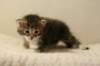 img_8216_small.jpg