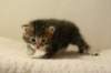 img_8217_small.jpg