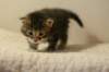 img_8218_small.jpg