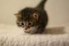 img_8226_small.jpg