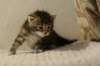 img_8227_small.jpg