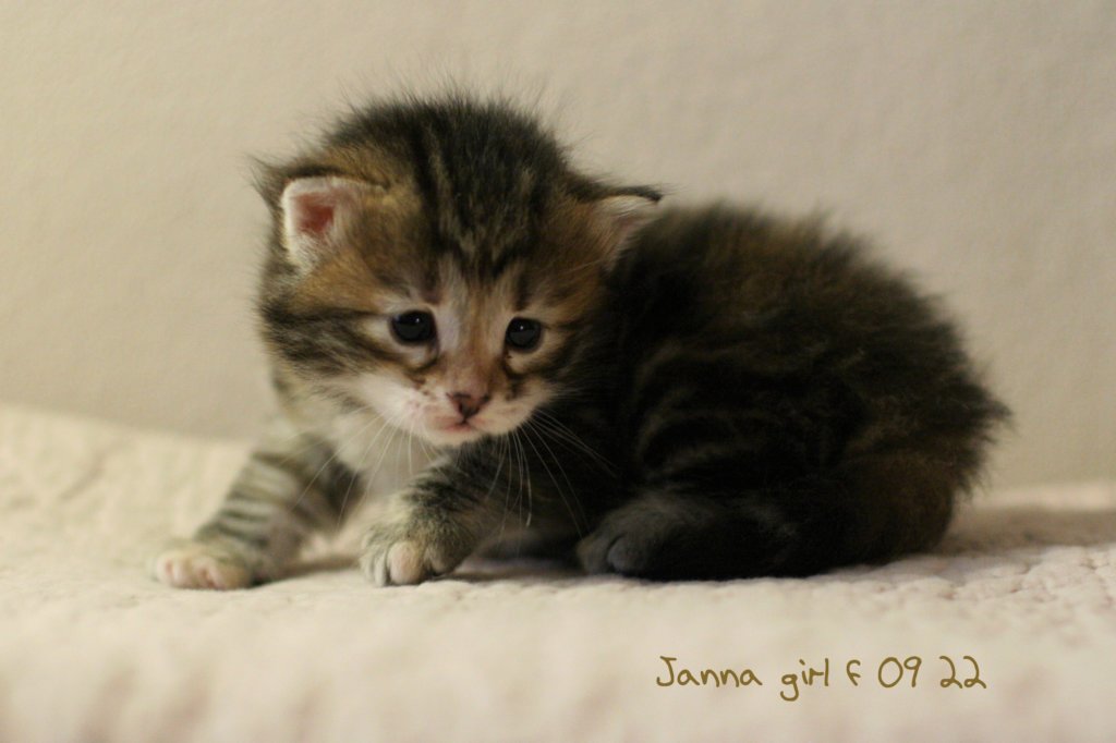 jannaimg_8212.jpg