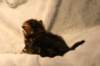img_8092_small.jpg