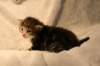 img_8093_small.jpg