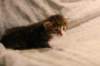 img_8099_small.jpg