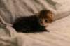 img_8101_small.jpg