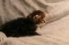 img_8102_small.jpg