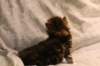 img_8103_small.jpg