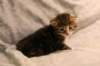 img_8105_small.jpg