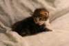 img_8108_small.jpg