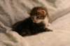 img_8109_small.jpg