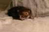 img_8113_small.jpg