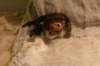 img_8114_small.jpg
