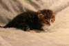 img_8115_small.jpg