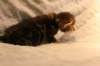 img_8116_small.jpg