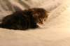 img_8117_small.jpg