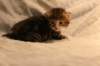 img_8118_small.jpg
