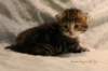 jasonimg_8119_small.jpg