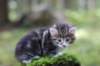 img_4838_small.jpg