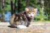 img_4864_small.jpg