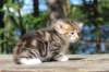 img_4866_small.jpg