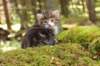 jasonimg_4817_small.jpg
