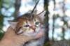 img_5676_small.jpg