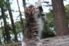 jasperimg_5620_small.jpg