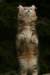 img_2738_small.jpg