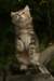 img_2740_small.jpg