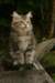 img_2743_small.jpg