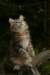 img_2744_small.jpg